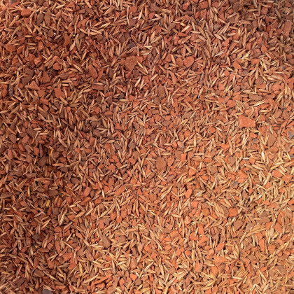 Semis mousses pour dalles E50