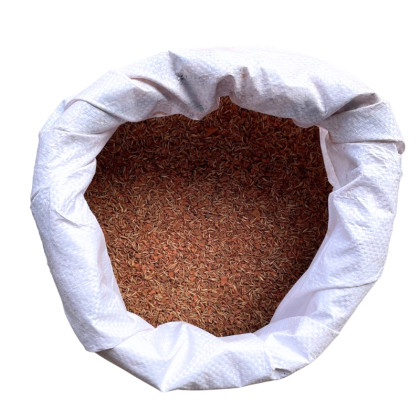 Semis mousses pour dalles E50