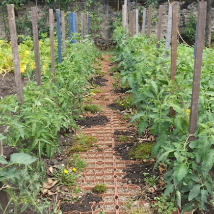 allée stabilisée pour potager