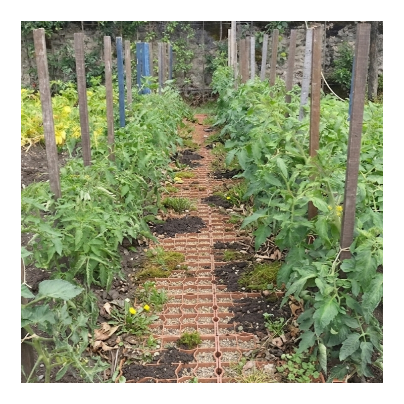 allée stabilisée pour potager