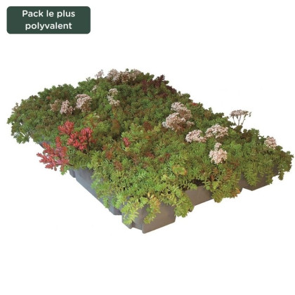 Bac sedum ECOSEDUM PACK pour toiture végétalisée