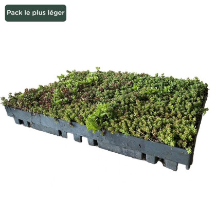 ECOSEDUM PACK LIGHT