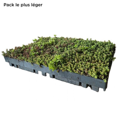 ECOSEDUM PACK LIGHT