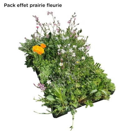 Bac ECOSEDUM PACK BIODIVERSITE pour toiture