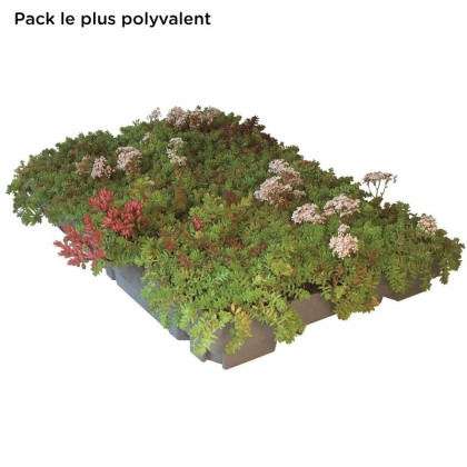 Bac sedum ECOSEDUM PACK pour toiture végétalisée