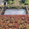 Drain pour terrasse