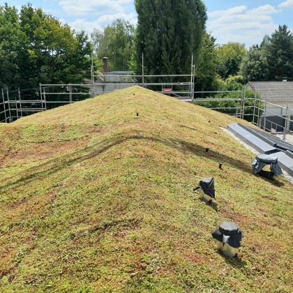 Toiture en pente d’une maison végétalisée