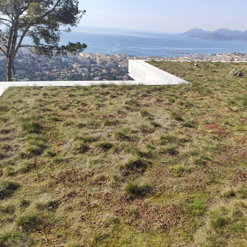 Toiture de villa végétalisée à Cannes