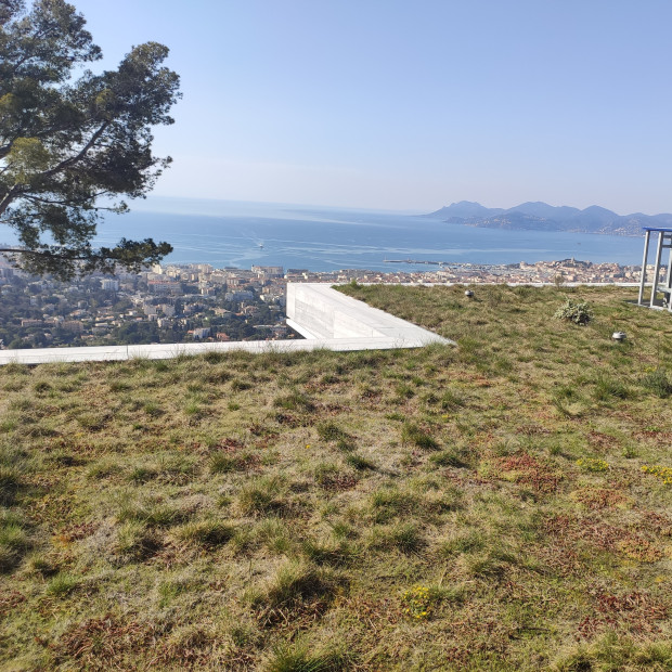 Toiture de villa végétalisée à Cannes