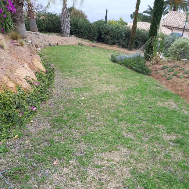 Allée de maison végétalisée et stabilisée