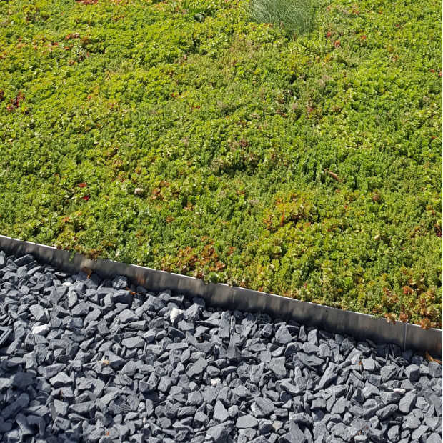 Terrasse jardin végétalisée