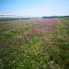 ECOSEDUM PACK BIODIVERSITE