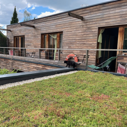 Extension d'une maison en bois végétalisée