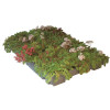 Bac sedum ECOSEDUM PACK pour toiture végétalisée