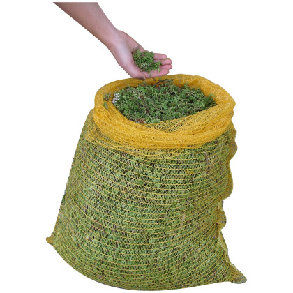 Fragments de sedum pour végétalisation - sac 1kg