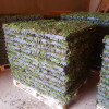Bac sedum ECOSEDUM PACK pour toiture végétalisée