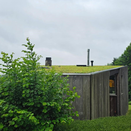 Maison végétalisée en Belgique