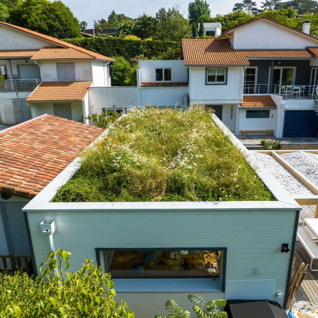 Toiture de villa végétalisée