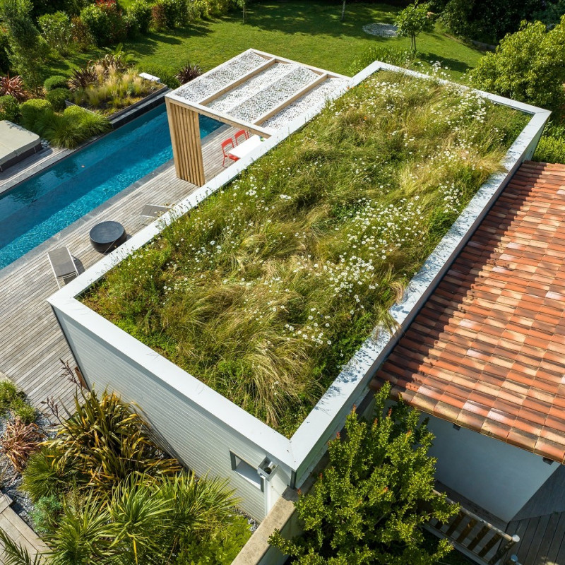 Toiture de villa végétalisée