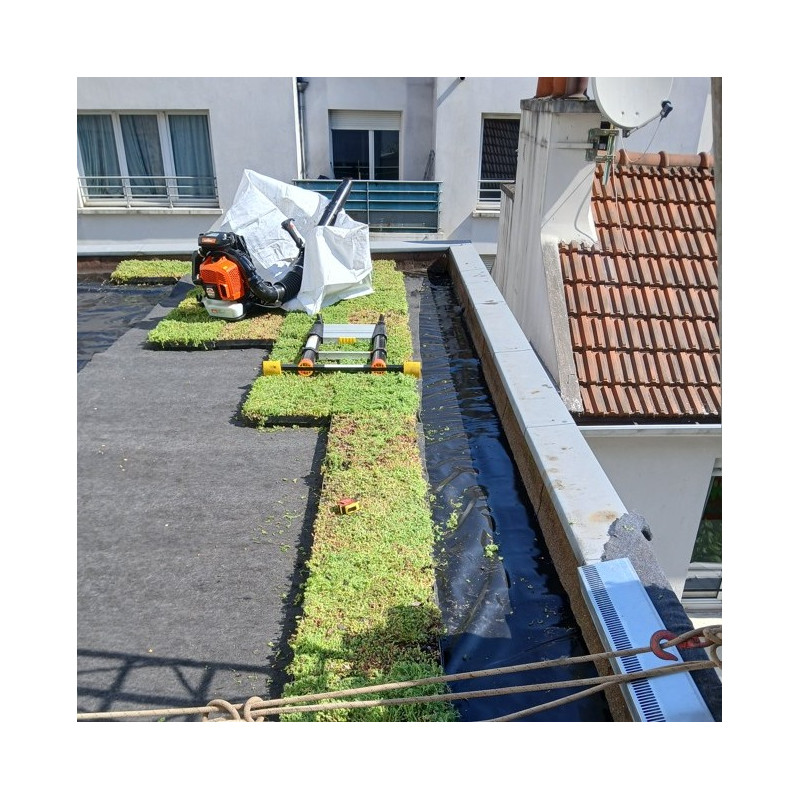 Végétalisation d'une toiture à Paris