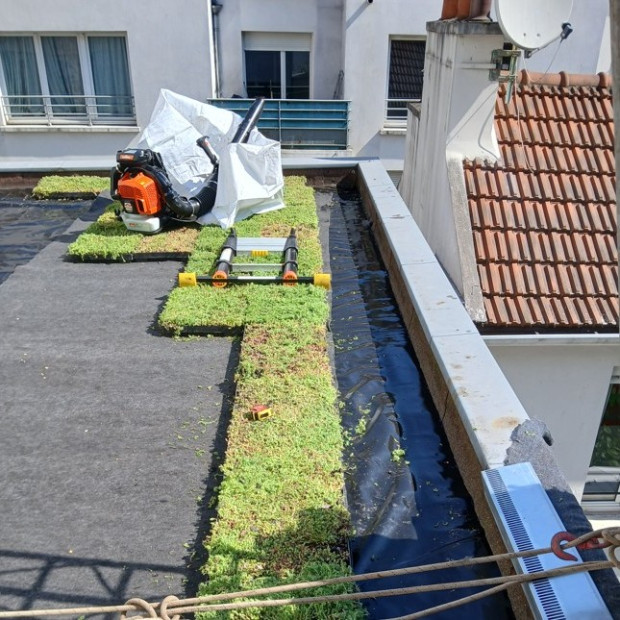 Végétalisation d'une toiture à Paris