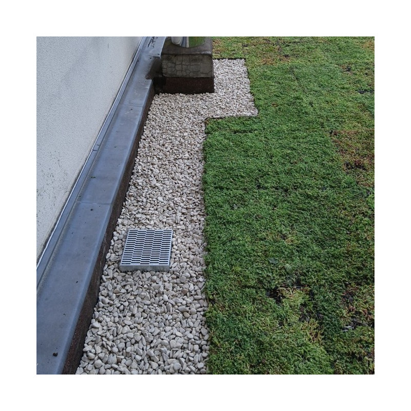 Végétalisation d'une toiture à Paris