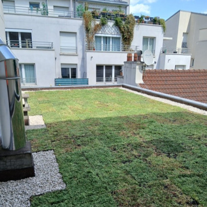 Végétalisation d'une toiture à Paris