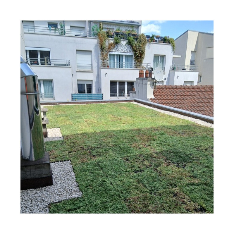 Végétalisation d'une toiture à Paris