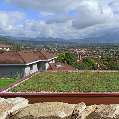 Végétalisation d'un poolhouse