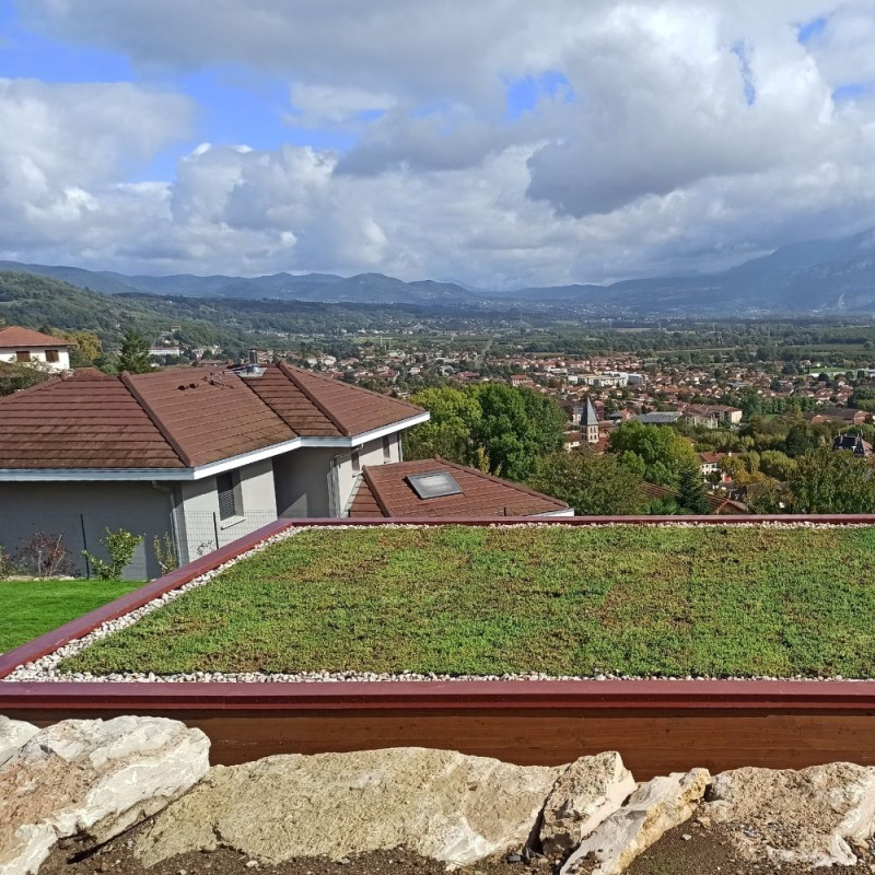 Végétalisation d'un poolhouse