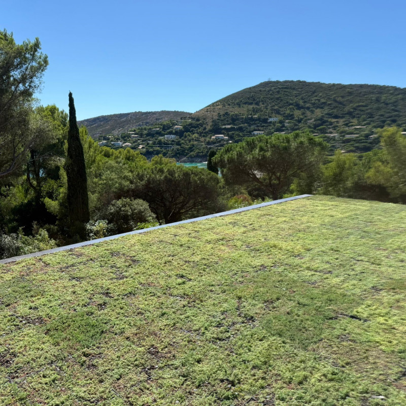 Toiture végétale sous le soleil du Var