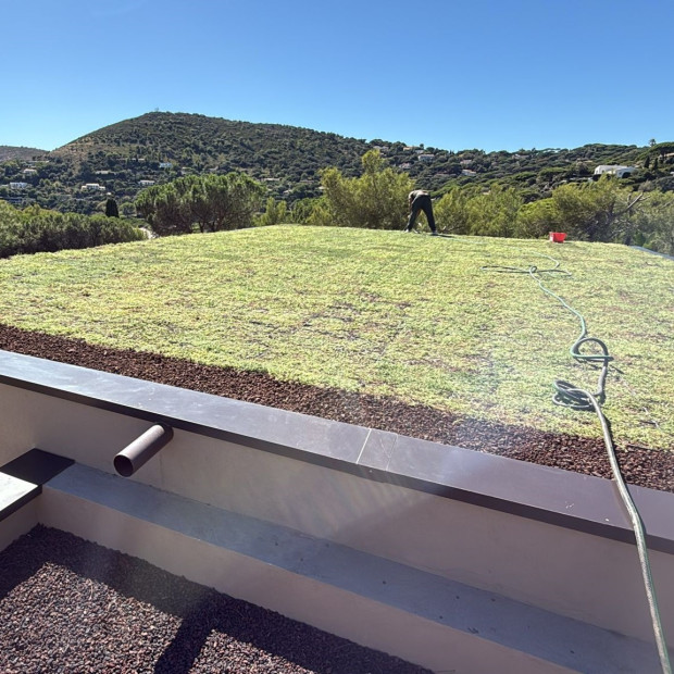 Toiture végétale sous le soleil du Var