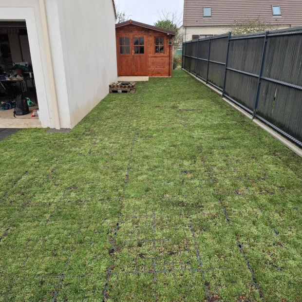 Allée de garage végétalisée