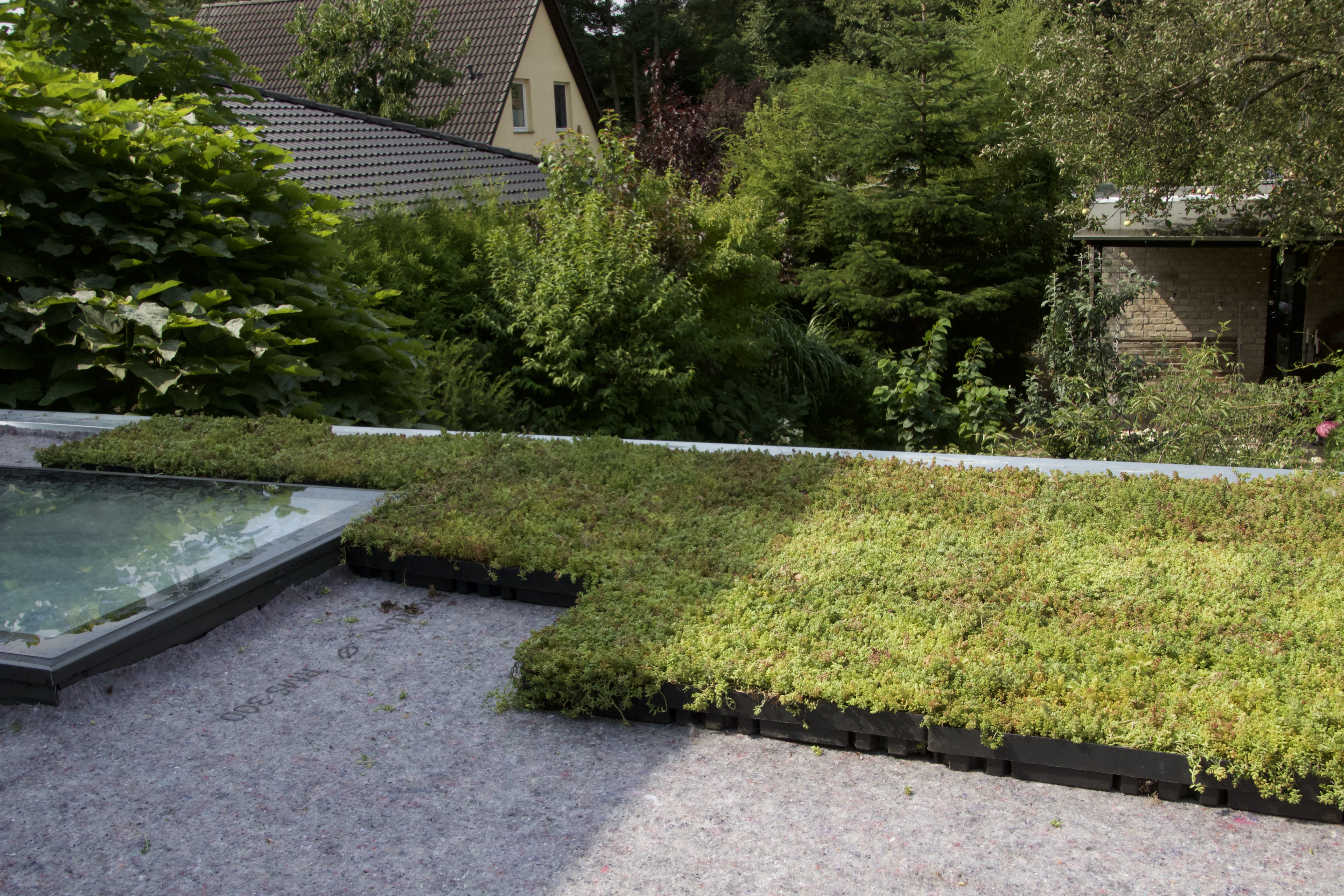 Comment végétaliser facilement un toit à base se cassettes sedum ?